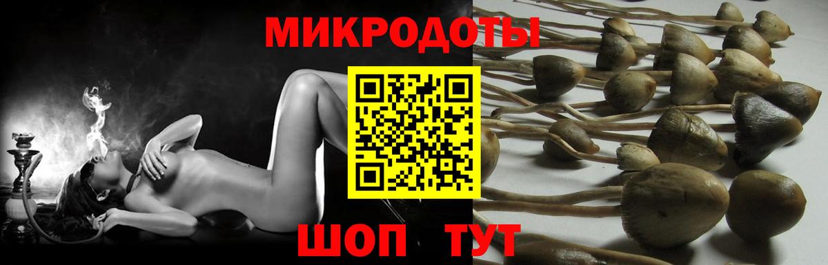 Галлюциногенные грибы мицелий  Вход с VPN  Вязьма 